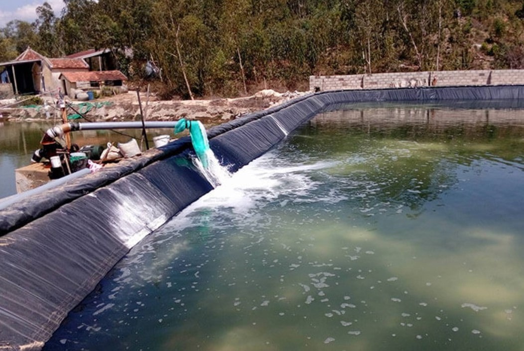 Xử lý hệ thống nước thải hải sản